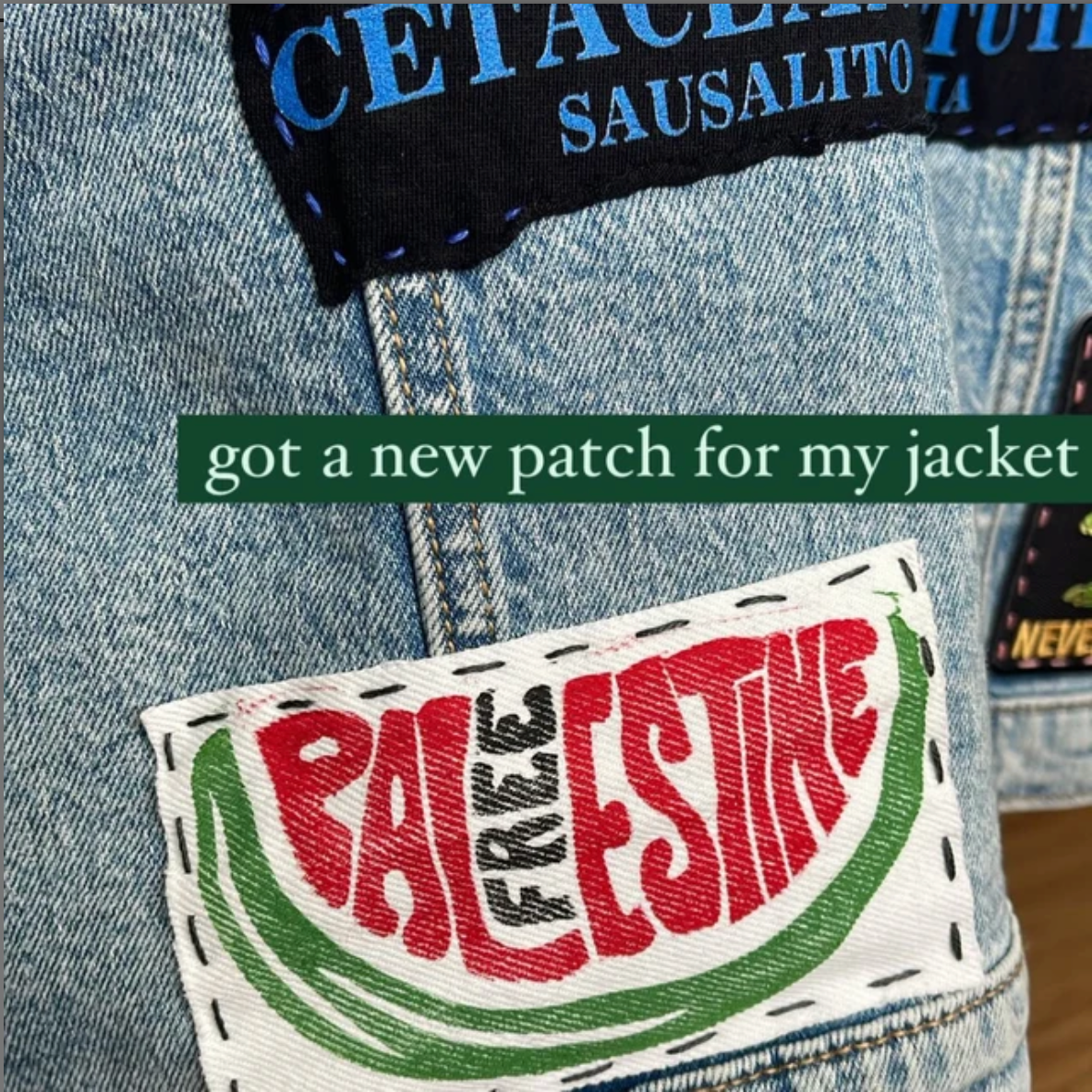 Free Palestine Watermelon Patch